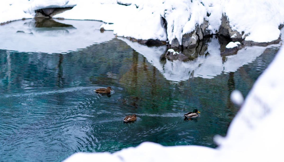 Голубые озёра