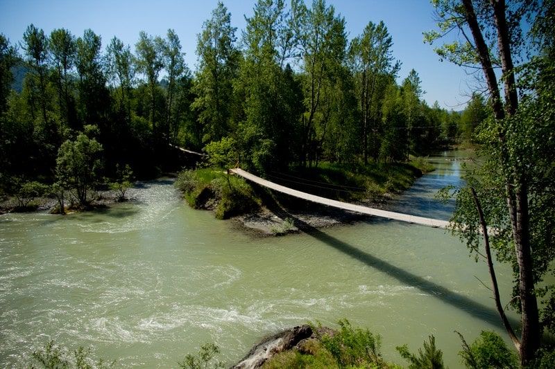 Природа Хутора Кедрового